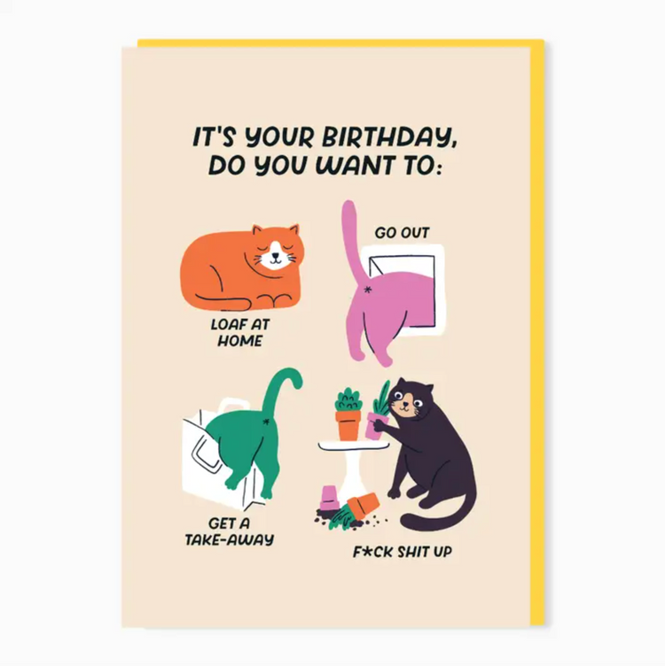 Funny Cat Birthday Card